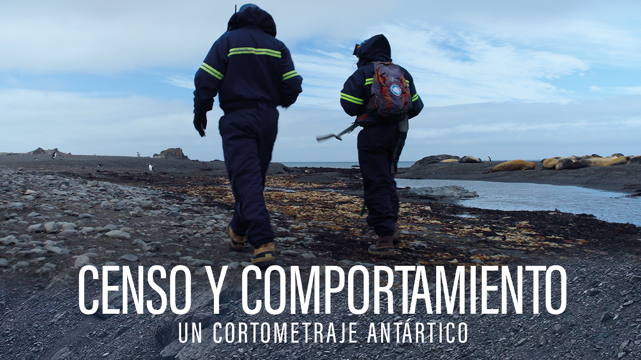 Censo y comportamiento