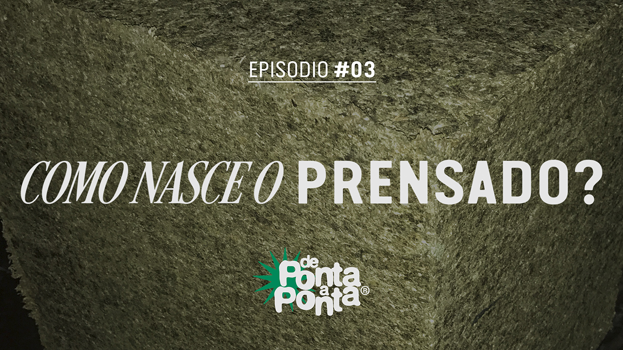 De Ponta a Ponta: Como Nasce o Prensado